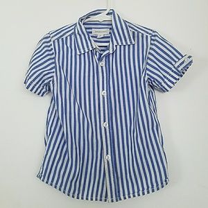 Pumpkin patch blue stripped button up shirt